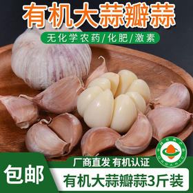 【厂商直发】有机大蒜2斤装口感辛辣蒜香浓郁包邮