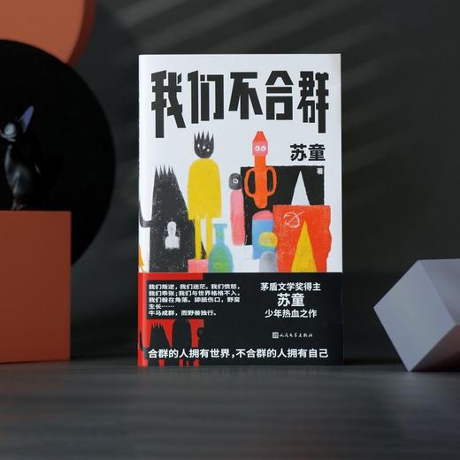我们不合群 商品图4