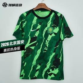 SFS耐克2026赛季中超北京国安赛前热身服短袖训练服男子 IQ0477-310