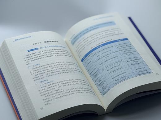 AI重塑民商事诉讼全流程 陆凌燕 刘卫 法律出版社 商品图5