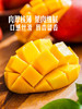 MM 山姆 贵妃芒 1.3kg 商品缩略图1
