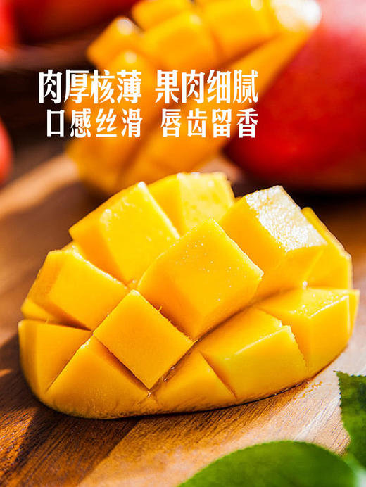 MM 山姆 贵妃芒 1.3kg 商品图1