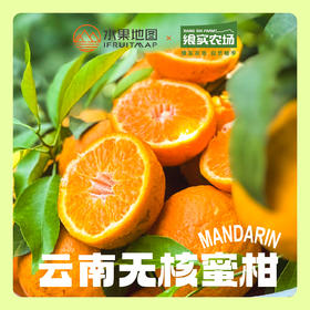 【云南花香无核蜜柑】春日甜蜜暴击爆汁花香蜜柑，一口咬出阳光的味道🌞