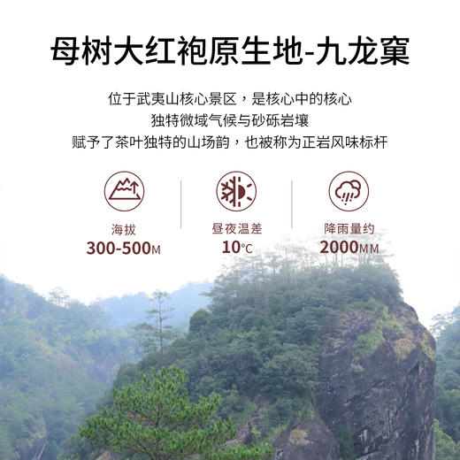 【窠岩氏】02九龙窠奇丹80g 商品图4