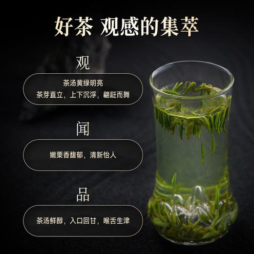 竹叶青绿茶2026年新茶峨眉高山明前绿茶特级论道茶叶礼盒装150g 商品图4