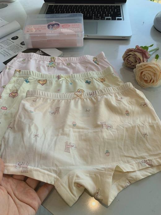 扒货工厂出！10A级抑菌儿童内裤一盒3条  26Y04007- 商品图7