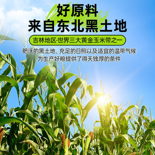 【暖心暖胃0添加】东北0添加冲饮即食纯玉米糊400g/袋组合装（内含13小包）JL 商品图2