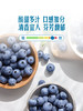 MM 山姆 怡颗梅 云南超大蓝莓 750g 商品缩略图2