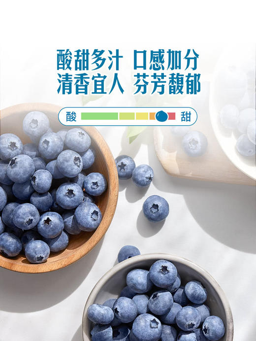 MM 山姆 怡颗梅 云南超大蓝莓 750g 商品图2