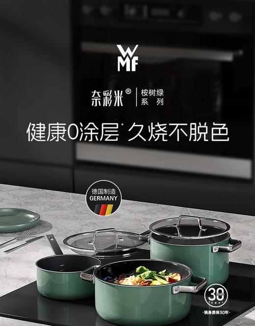 【6F】WMF德国原装进口奈彩米2.0汤锅20cm（桉树绿） 商品图0
