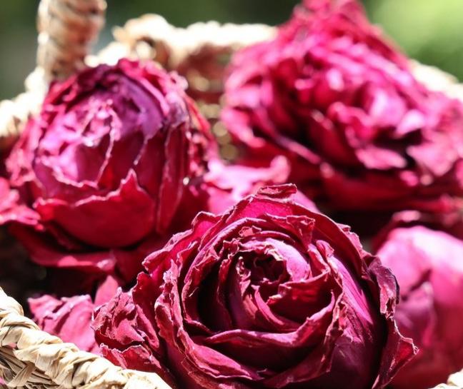 高原晨露 春日绽放 云南大理墨红玫瑰 头采花冠 入口满满玫瑰花香 冻干花 煮水泡茶 温和养生  |百里食 0401