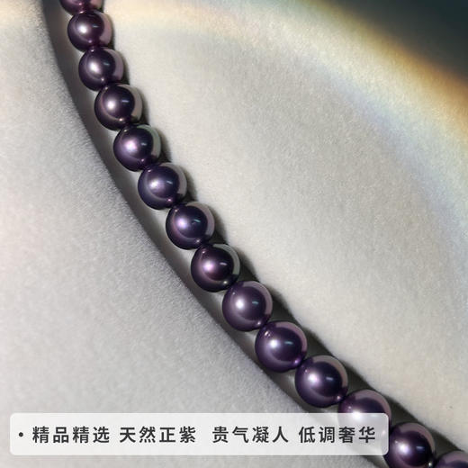 紫电青霜 商品图2