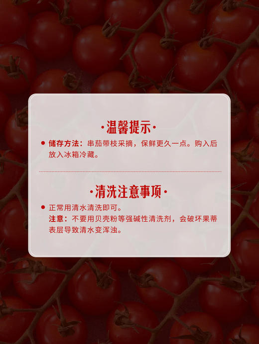 MM 山姆 串收小番茄 1kg 商品图6