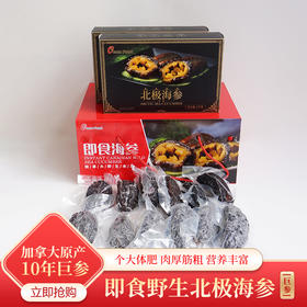 【至臻款】OceanFeast加拿大即食北极参【4-7头/公斤】