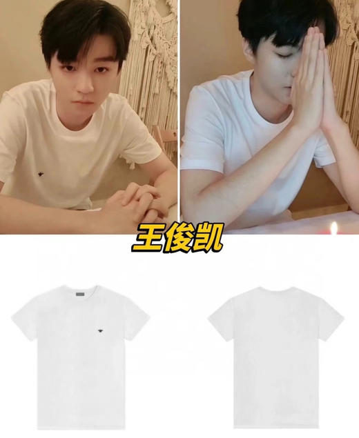 原单高端男女同款新型羽毛蛋白纤维蜜蜂刺绣T恤 商品图3