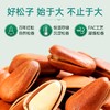 【董宇辉直播间同款】双有机开口松子  98g*5袋JL 商品缩略图5