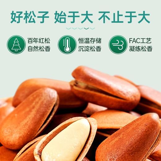 【董宇辉直播间同款】双有机开口松子  98g*5袋JL 商品图5