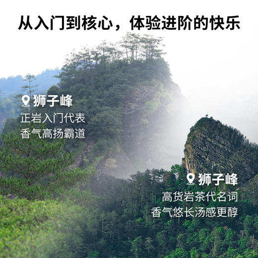 【窠岩氏】九龙窠老树肉桂/奇丹/狮子峰肉桂 商品图3