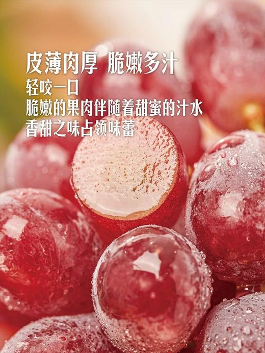 MM 山姆 进口无籽红提 1.36kg 商品图5