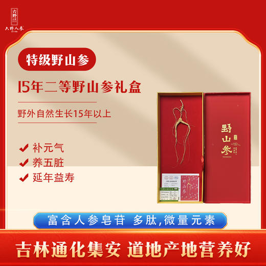 【孝心臻选整支野山参】长白山特级二等野山参带证书JL 商品图0