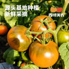 【顺丰】 草莓番茄 西红柿4.5斤 番茄味很浓，皮脆脆的  自然高甜，不催熟。类似乒乓球大小  内蒙发货 商品缩略图4