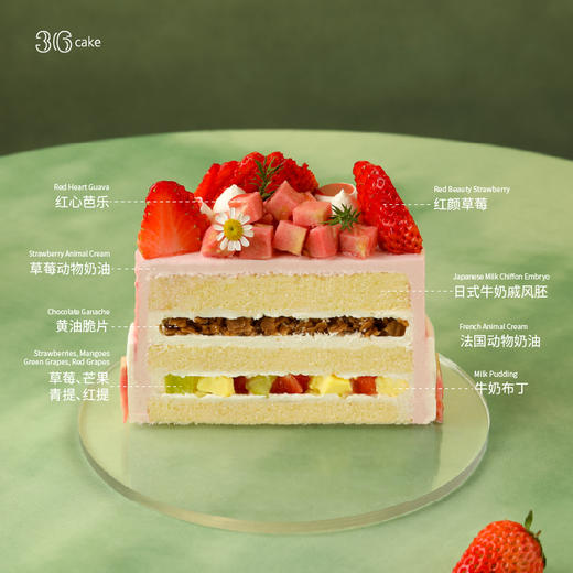 春见芭乐-芭乐莓莓布丁蛋糕，可选1/1.5/2.5/3.5/6磅 | 36CAKE 商品图4