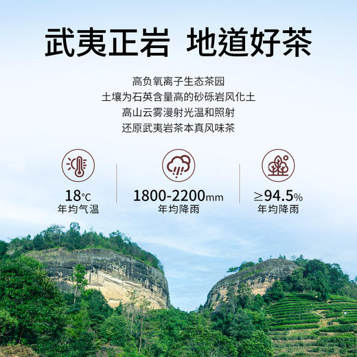 窠岩氏 武夷山果香肉桂 250g 盒装包邮 商品图3