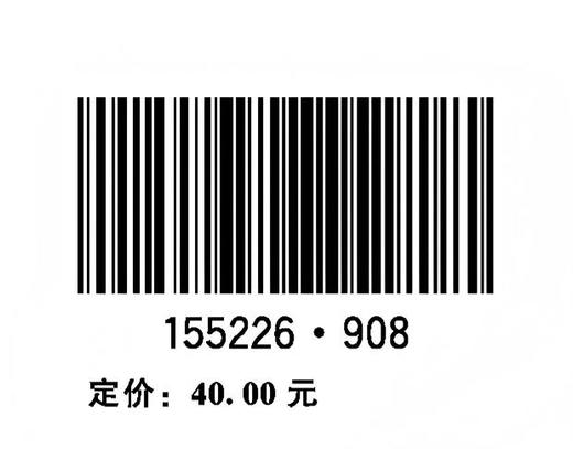 可再生能源电力制氢工程规划报告编制规程 NB/T 11810—2025 商品图1