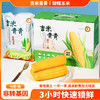 【3h极速锁鲜】非转基因鲜食黄糯玉米10穂/箱JL 商品缩略图0