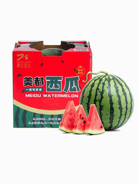MM 山姆 美都西瓜 1个