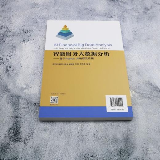 智能财务大数据分析:基于Python AI编程及应用 商品图2