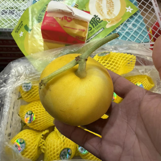 🐝小蜜蜂 甜瓜 香甜 推荐/19.9/斤 商品图3