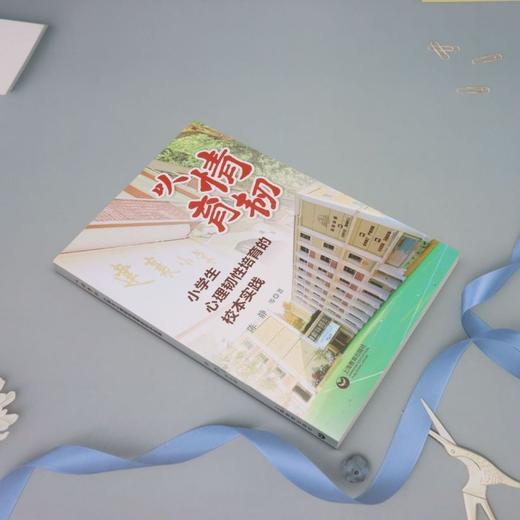 以情育韧:小学生心理韧性培育的校本实践 商品图1