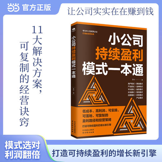 小公司持续盈利模式一本通 商品图3