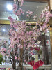 【向你微笑】国产樱花  粉色  约2-3枝/扎 商品缩略图0