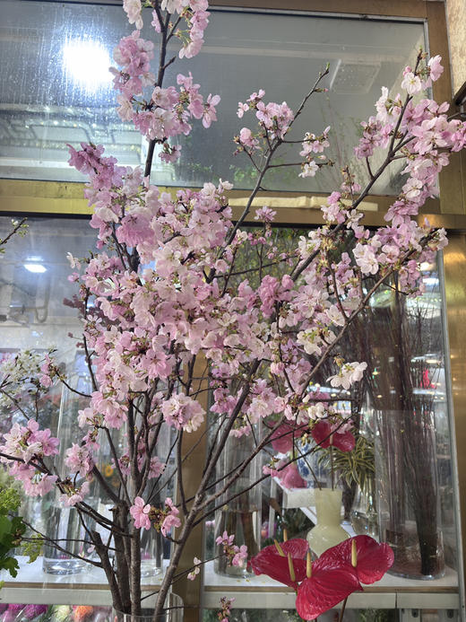 【向你微笑】国产樱花  粉色  约2-3枝/扎 商品图0