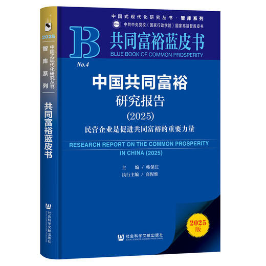 中国共同富裕研究报告(2025)(2025版) 商品图0