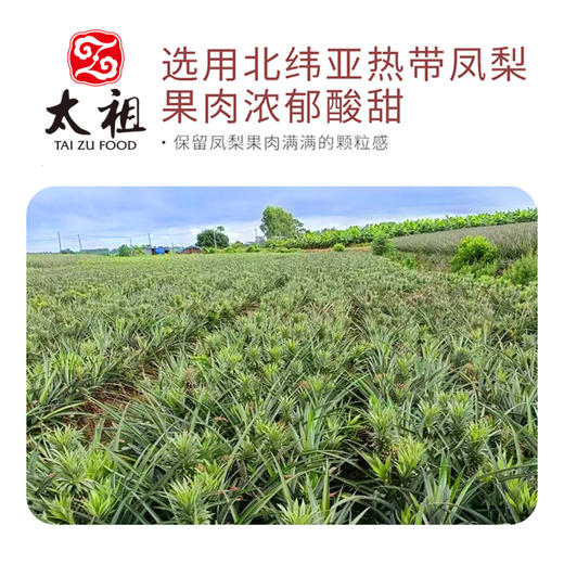 糖漾土凤梨酥240g台式风味休闲糕点办公点心 商品图4