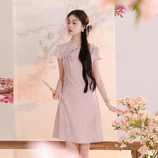 【花晨月夕】三彩2026夏季新款立领收腰连衣裙新中式短袖A字裙C 商品图1