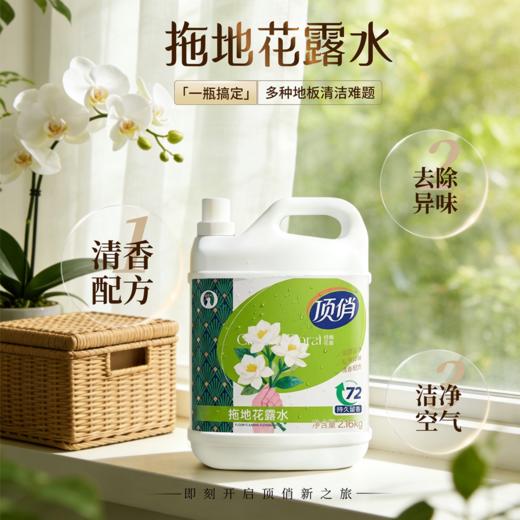 自营（顶俏）-拖地花露水 清香配方 祛除异味 商品图0