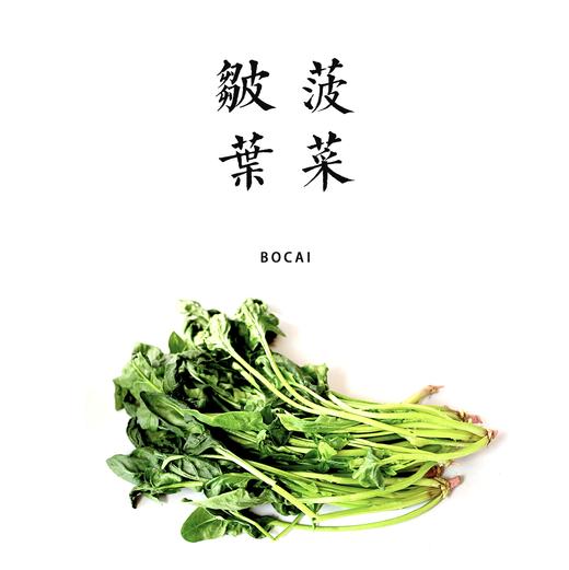 皱叶露地菠菜  500g 商品图0