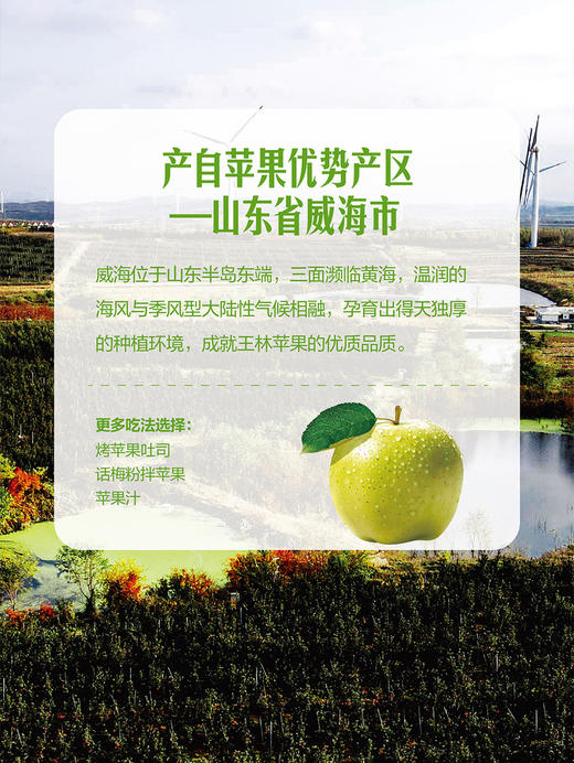 MM 山姆 香蜜王林苹果 1.8kg 商品图5