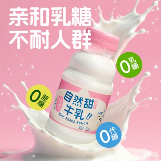 早餐奶首选【5.0生牛乳/自然甜牛乳/香芋厚牛乳/三倍浓抹厚牛乳】牛乳口感丝滑更浓郁😋高钙高蛋白🐄自有奶源品质有保障！浓浓奶香口口满足🈵️ 商品图3