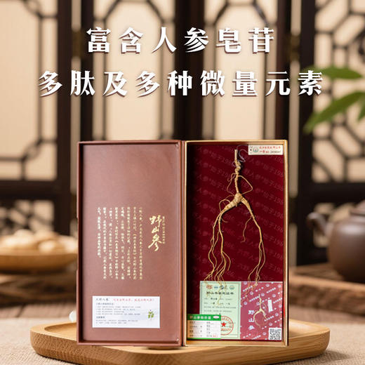 【收藏级野山参 整支原装】杭检一等野山参整支配证书JL 商品图1