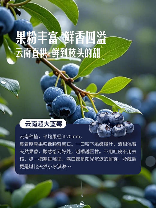 MM 山姆 20mm云南蓝莓 600g 商品图5