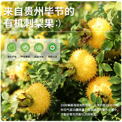 黔雅集双有机刺梨原液原浆贵州特产高VC/SOD 100%纯果汁35ml*15袋 商品图3