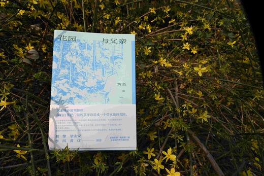 花园与父亲  黄鱼/著 {北贝} 商品图6