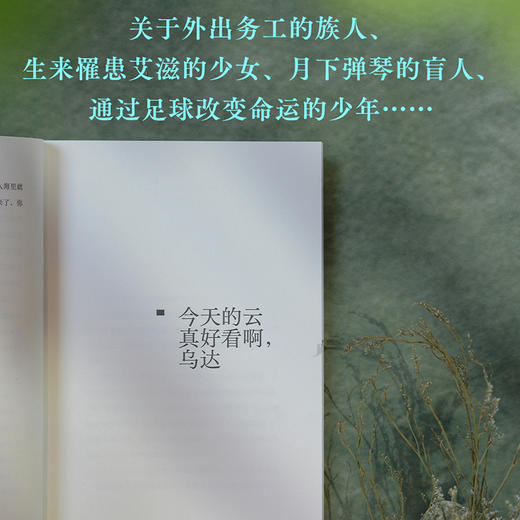 我从凉山来 商品图4