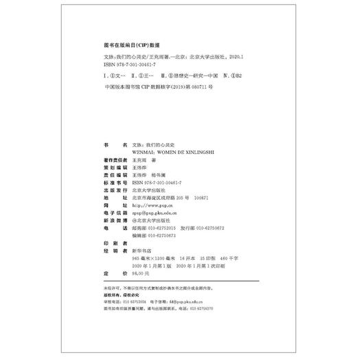 文脉：我们的心灵史 王充闾 著 王充闾人文三部曲 北京大学出版社 商品图4