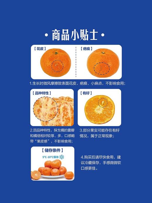 MM 山姆 探戈橘 3kg 商品图2